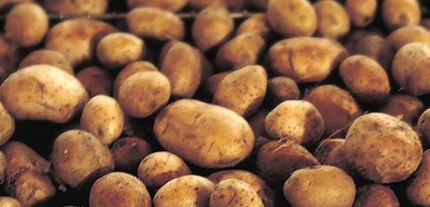 Peru to spread potato power to Odisha