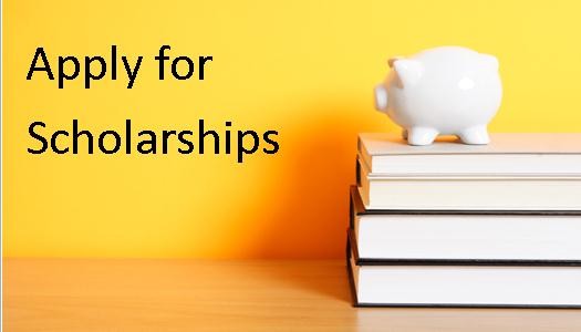 Applying Scholarships by students in Odisha goes online too