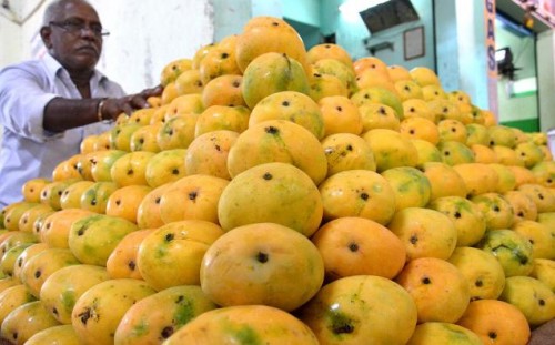 Odisha Mango Varieties are selling fast in Delhi NCR Safal Fruit ...